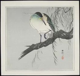 Heron on Branch, pre-1912